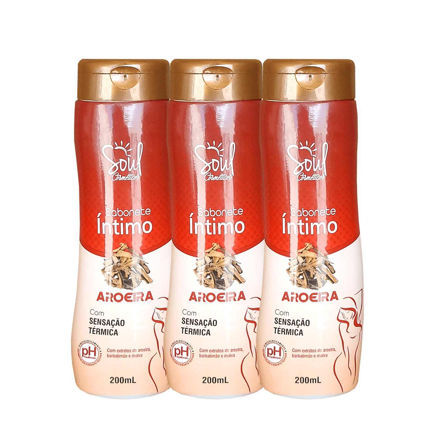 Kit 3 Sabonetes Íntimos Líquido Aroeira Soul Cosméticos 200ml